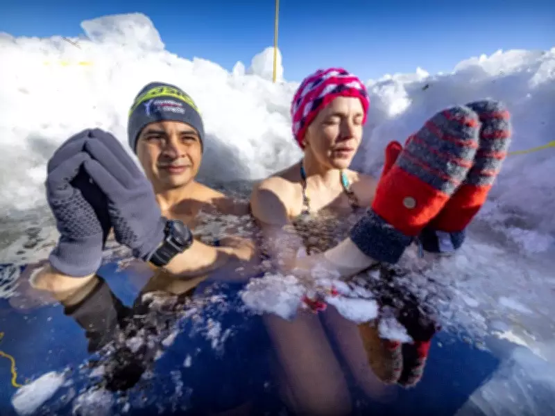 Montreal's Polar Bear Club Braves Frigid Waters in Weekly Sunday Plunge