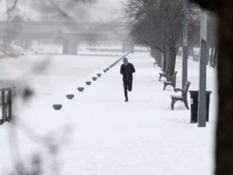 Montreal's Spring Forecast: A Scenic Route with Wild Weather Ahead
