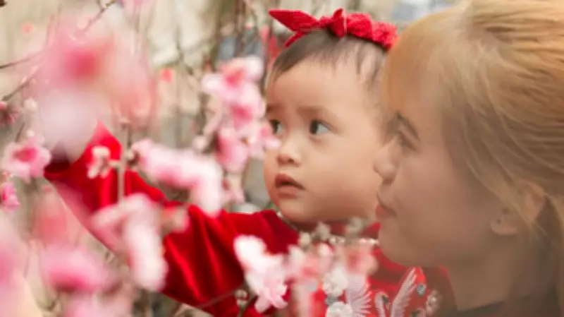 Montreal's Weekend Guide: Lunar New Year Festivities and Local Events from February 20-22