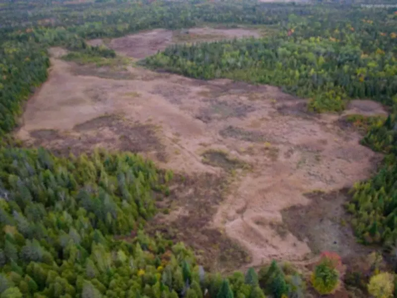 National Conservancy Secures 91 Hectares of Ottawa Wetlands for Flood Protection