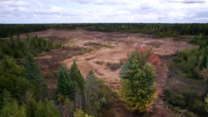 Nature Conservancy Canada Secures Vital Wetlands in Rural Southwest Ottawa