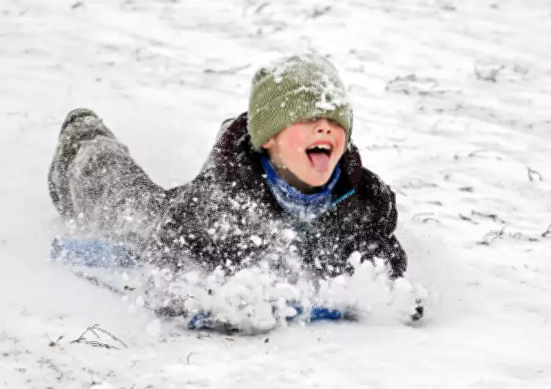 New Canadian Study Raises Alarm: Tobogganing Linked to Significant Head Injury Risk