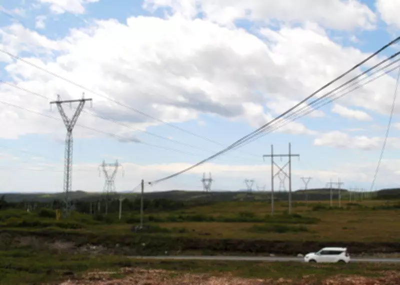 Newfoundland and Labrador Pursues $34.5 Million in Overdue Land Fees from Wind-Hydrogen Firms