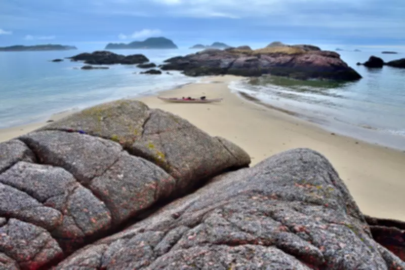 N.L. Ocean Conservation Site Cancellation Deals Blow to National Environmental Goals