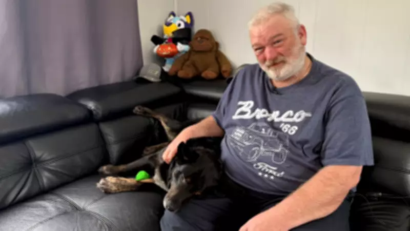 Nova Scotia Dog Missing for Six Months After Crash Reunites with Owner