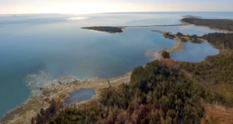 Nova Scotia Fishers Voice Strong Opposition to Proposed Whale Sanctuary Plan