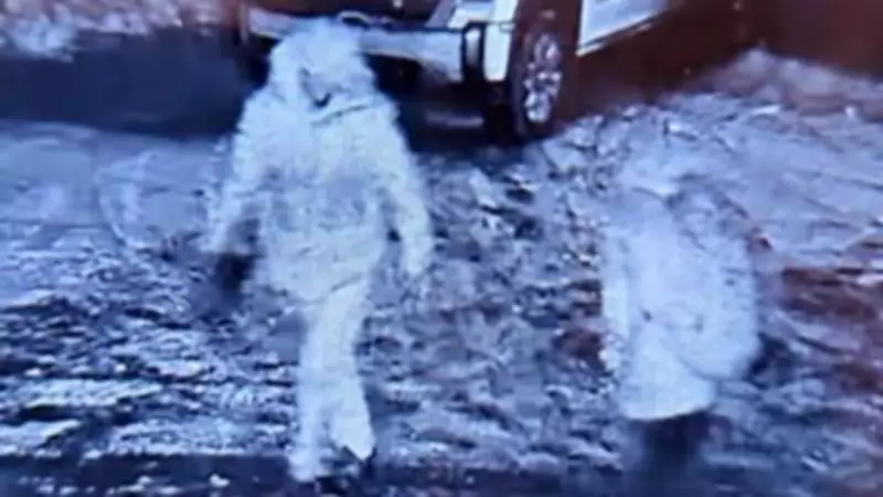 Nova Scotia RCMP Issues Warning Over String of Vehicle Thefts in Lakeside, Timberlea, Waverley