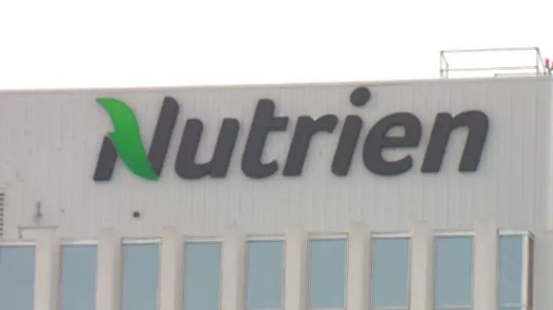 Nutrien Forecasts Potash Demand Surge Following Record Harvest Season