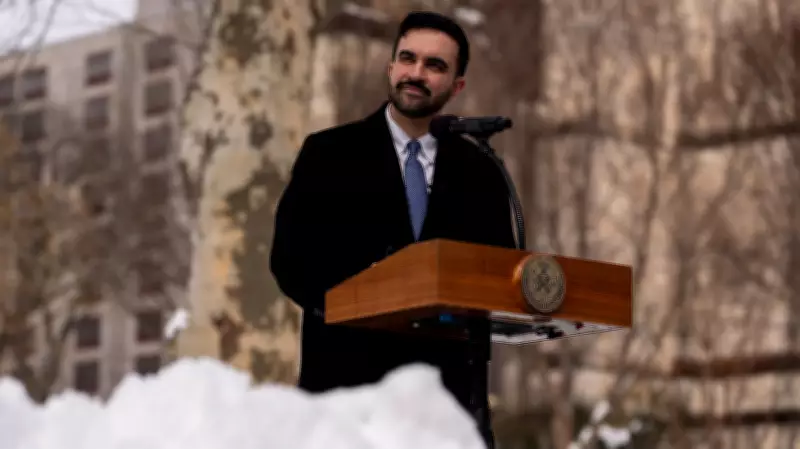 NYC Mayor Mamdani Defends Snowball Fight as Non-Criminal After Officers Injured