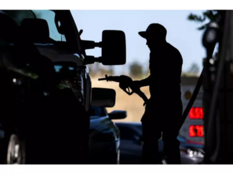 Oil Prices Plummet as Iran Tensions Ease and Commodities Face Broad Selloff