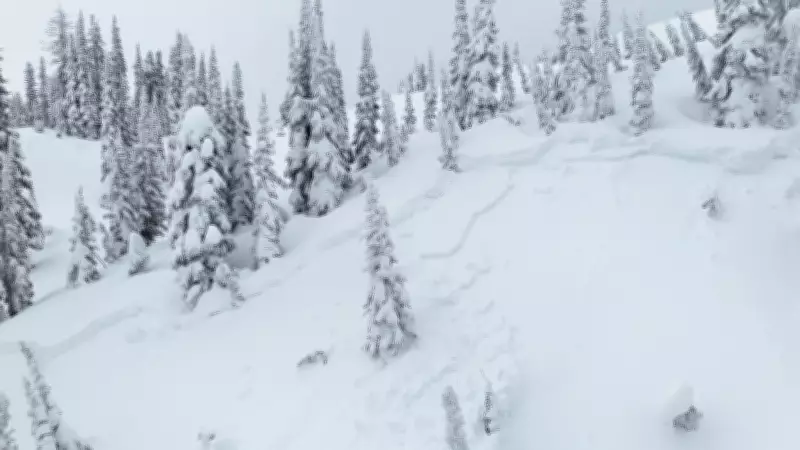 One Person Killed in Avalanche Near Fernie, B.C., Avalanche Canada Reports