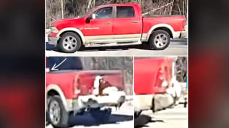 OPP Hunts Red Dodge Ram Driver After Highway 417 Police Evasion in Ottawa