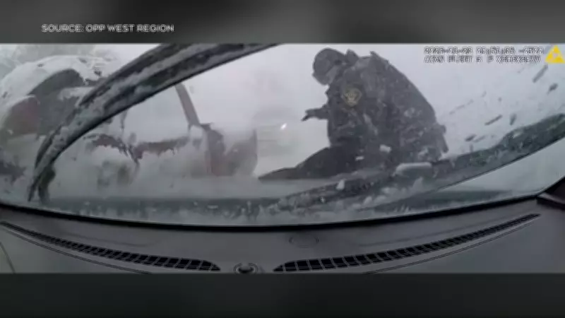 OPP Officer Struck by Vehicle in Zero Visibility Winter Storm: Dashcam Footage Released