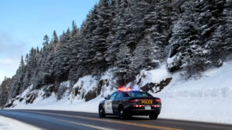 OPP Seize Stolen Vehicle and Bank Cards Following Highway 17 Chase After Fuel Theft