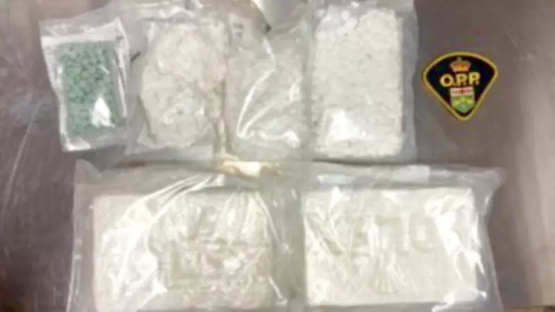 OPP Seizes $119K in Cocaine and Oxycodone After Highway 17 Traffic Stop