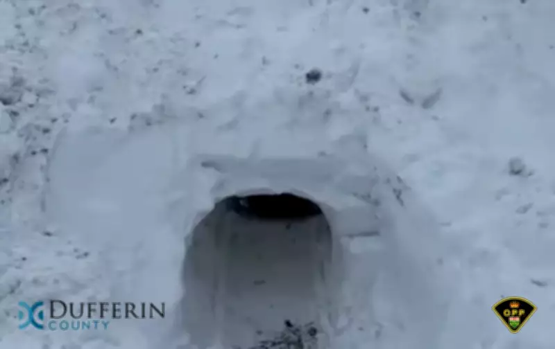 OPP Warns Against Building Snow Forts Near Roads for Safety