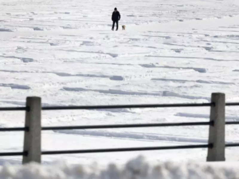 Ottawa Braces for Heavy Snowfall: 7-12 cm Expected Tuesday Afternoon