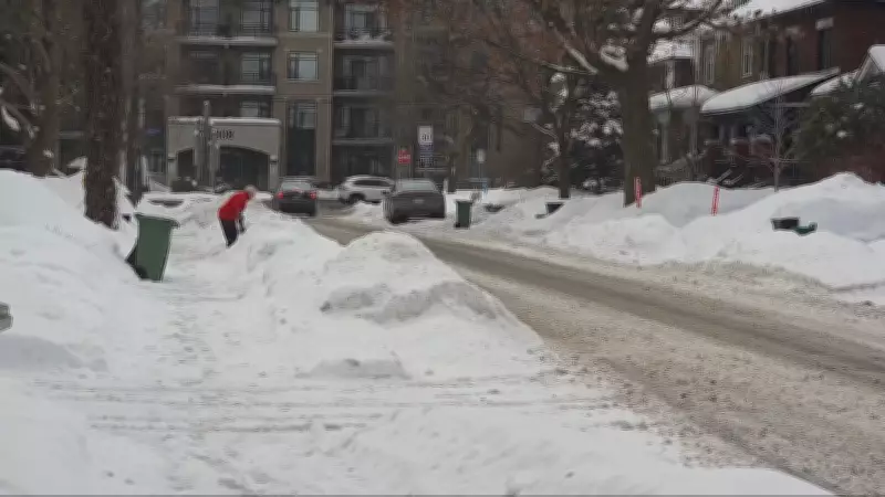 Ottawa Braces for Up to 10 cm of Snow as Special Weather Statement Issued