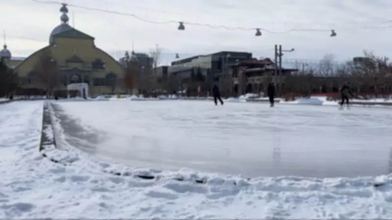 Ottawa Braces for Winter Storm: Up to 12 cm of Snow Expected