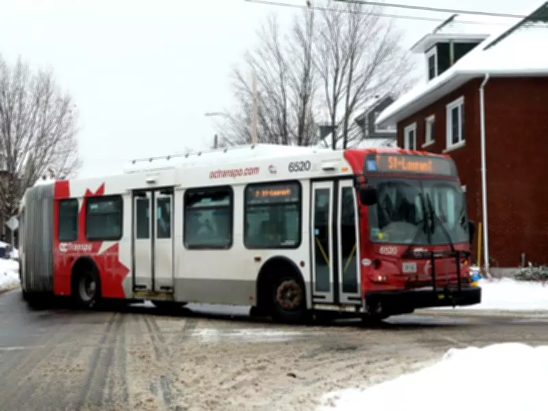 Ottawa Considers Winter Parking Ban on Narrow Grove Avenue for Bus Safety