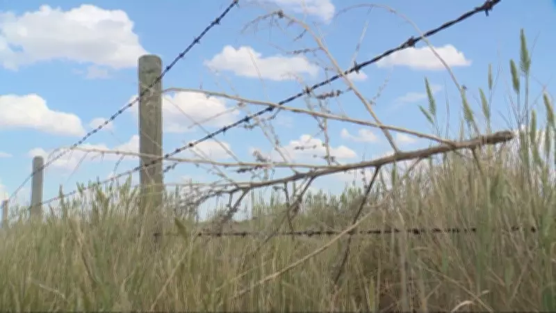 Ottawa Expands AgriStability to Cover Pasture Feed Costs for Livestock Producers