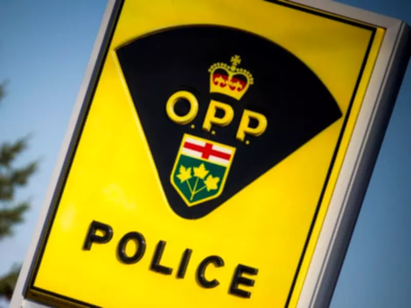 Ottawa Man, 44, Killed in Early Morning Highway 7 Crash Near Perth