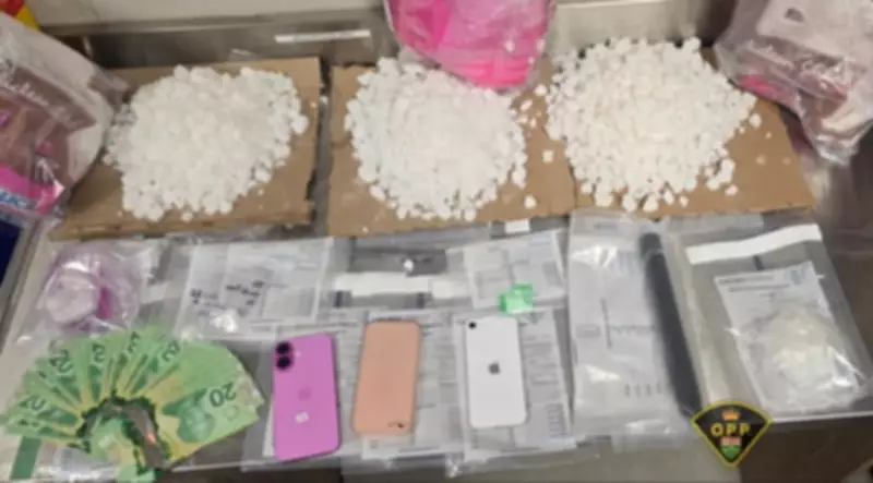 Ottawa Valley Residents Charged After Border Officials Detect Ketamine in Mail