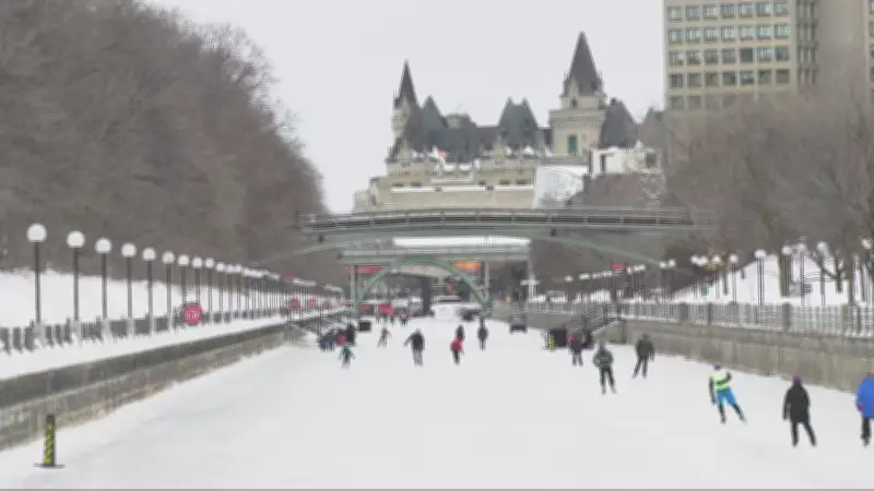 Ottawa's Snowy Reprieve: Mild Temperatures to Close Out February