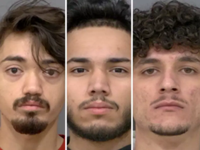 Peel Police Arrest Four in Human Trafficking Case Involving Girls Aged 11-14