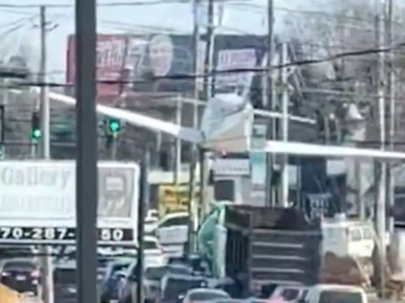 Pilot's Emotional Final Words Before Emergency Road Landing in Georgia