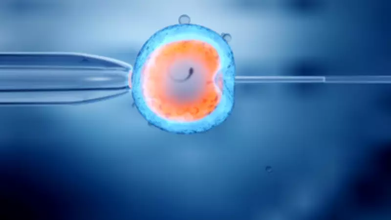 Private Equity's Fertility Clinic Boom in Canada: Profits and Patient Struggles