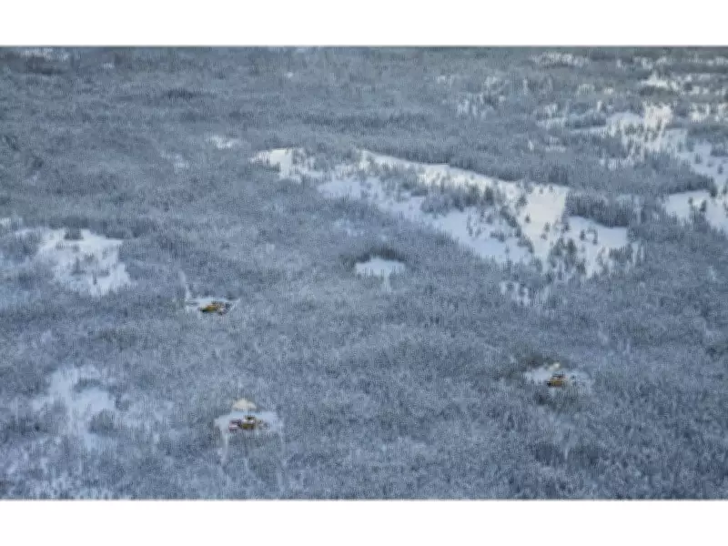 Q2 Metals Elevates Keith Phillips to Executive Chair Amid Cisco Lithium Project Advancement