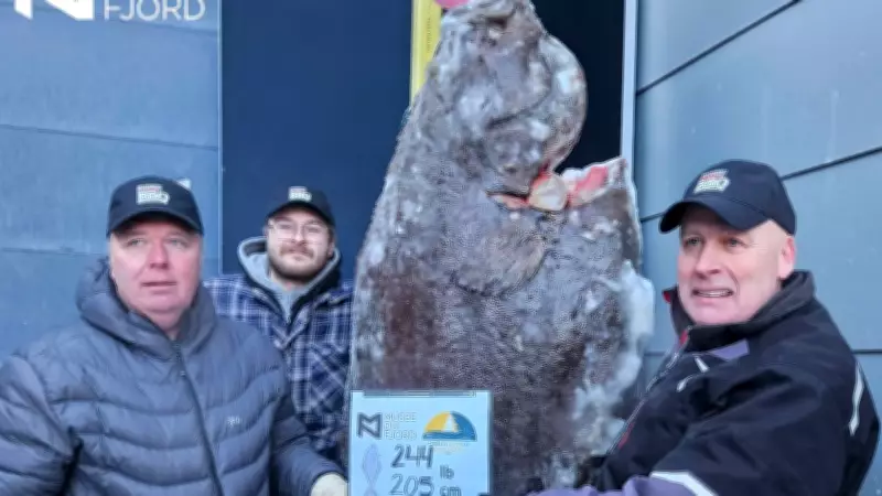 Quebec Fisherman Hauls Record 244-Pound Atlantic Halibut from Saguenay Fjord