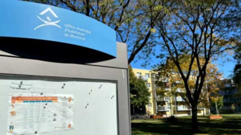 Quebec to Permit Roommates in Social Housing Starting February 19