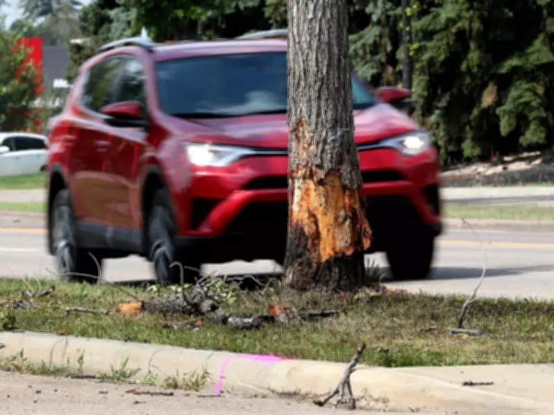 Rate Cap Hinders Care-First Auto Insurance Benefits in Alberta