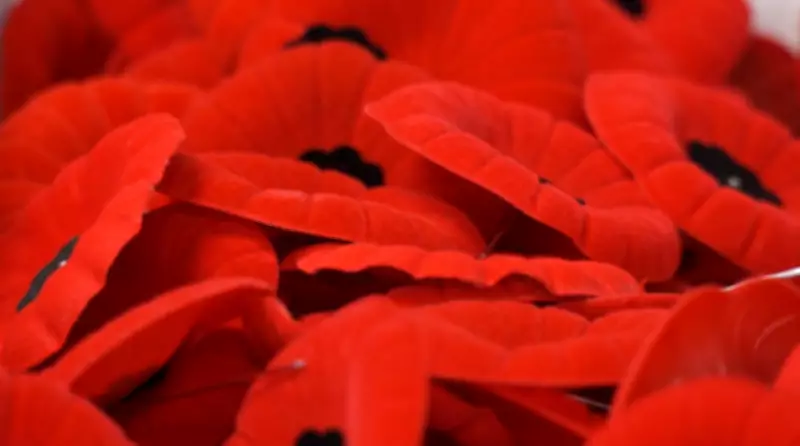RCMP Charges Two Watson Residents in Wynyard Poppy Box Theft Case