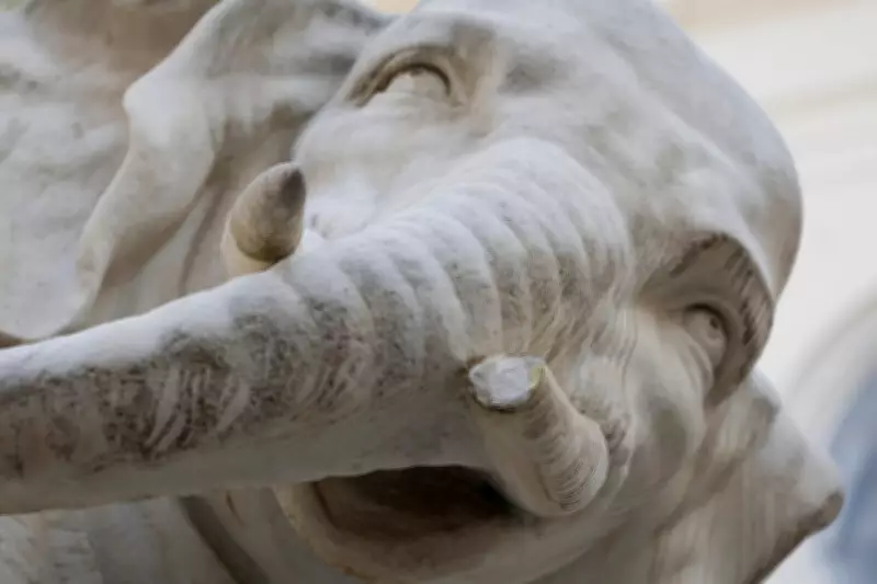 Rome's Bernini Elephant Statue Loses Tusk Tip Again, Police Investigate