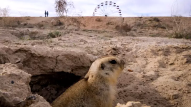 Saskatchewan and Alberta Premiers Urge Emergency Strychnine Authorization