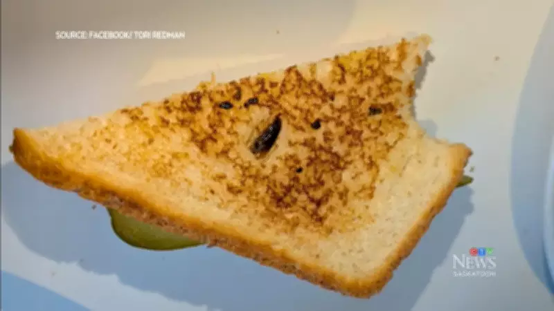 Saskatoon Diner Temporarily Closed After Cockroach Found on Customer's Grilled Cheese
