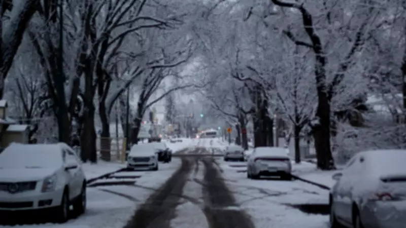 Saskatoon Police Warn: Snow-Covered Cars Could Lead to Costly Fines