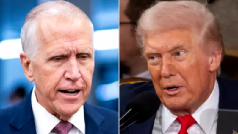 Senator Tillis Criticizes Trump's Choice of Kushner and Witkoff for Foreign Policy