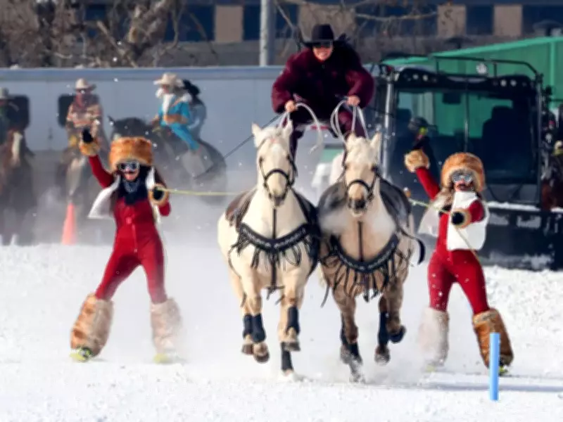 SkijorDue 2026 Draws Thousands to Calgary Despite Frigid Winter Temperatures