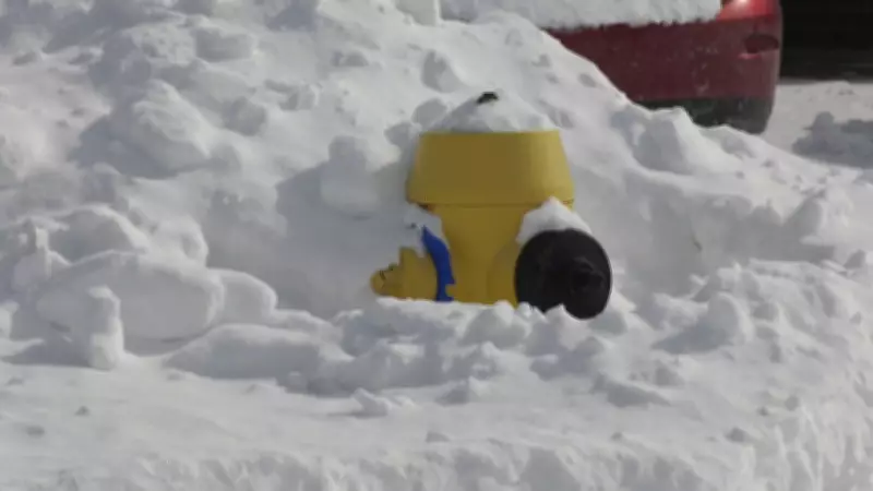 Snow Removal Responsibility for Fire Hydrants: Municipal Bylaws Explained