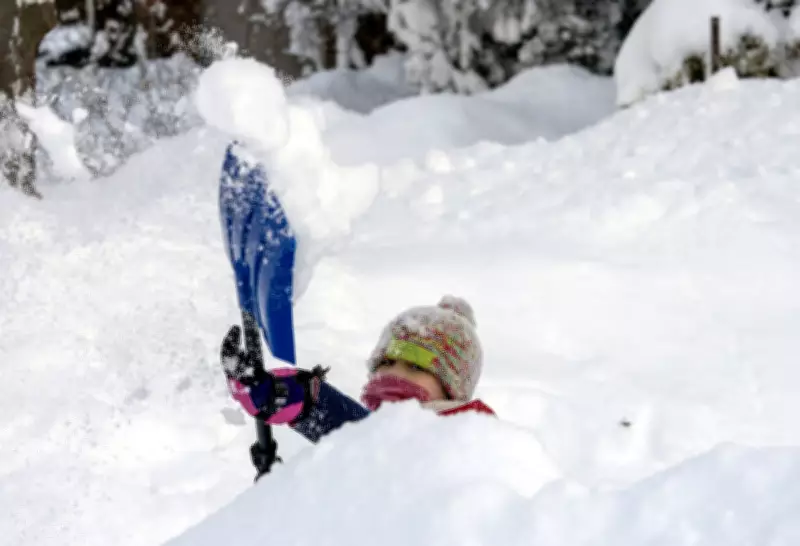 Snowmelt Elevates Flood Risk Across Southern Ontario Regions