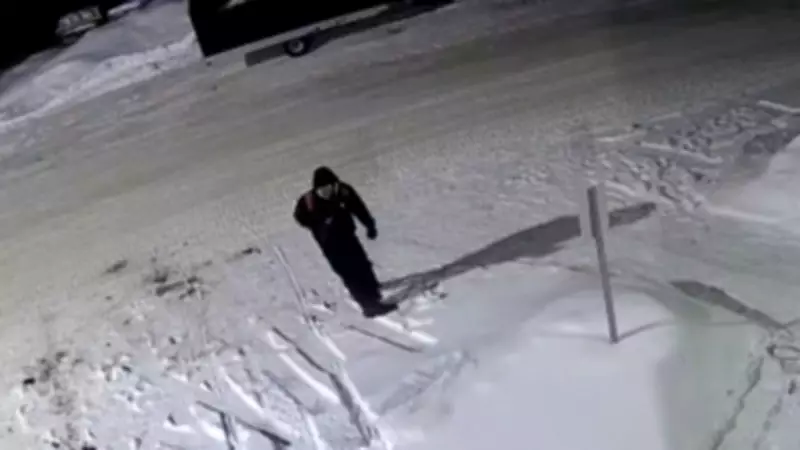 Snowmobile Stolen from North Bay Hotel Parking Lot: Police Release Suspect Video