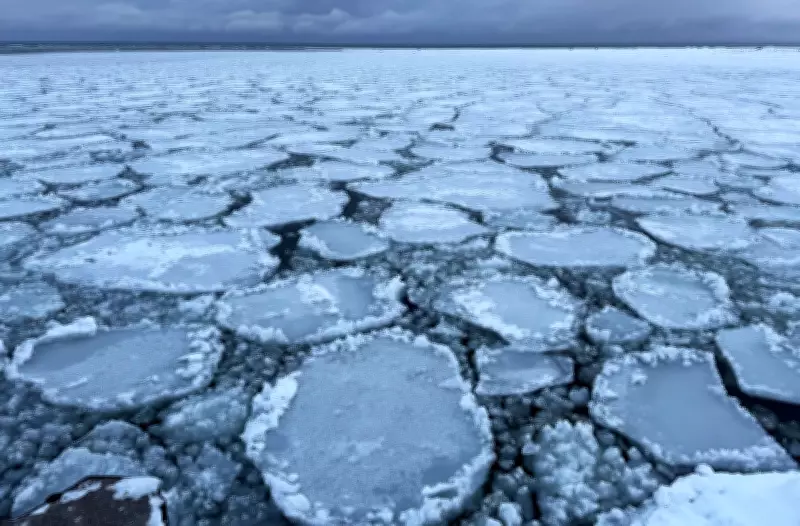 Southwestern Ontario Braces for Extended Cold Snap as Warnings Persist