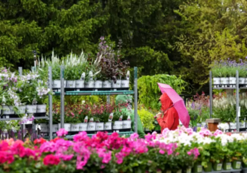 Spring Weather Forecast: Slow Start, Hot Finish Predicted for Canada