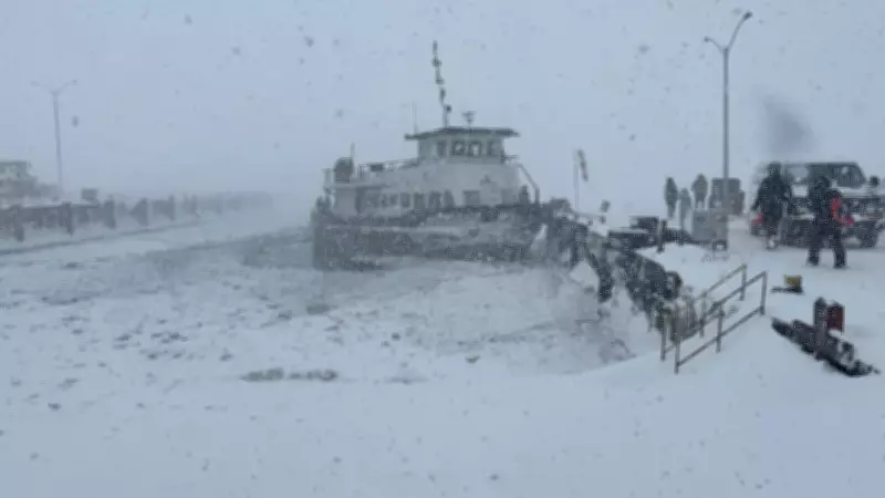 Stranded Sledder Rescued by Passing Ferry in Georgian Bay