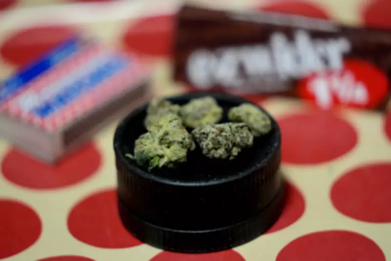 Study Links Rising Cannabis Use to Increased Anxiety and Depression Rates