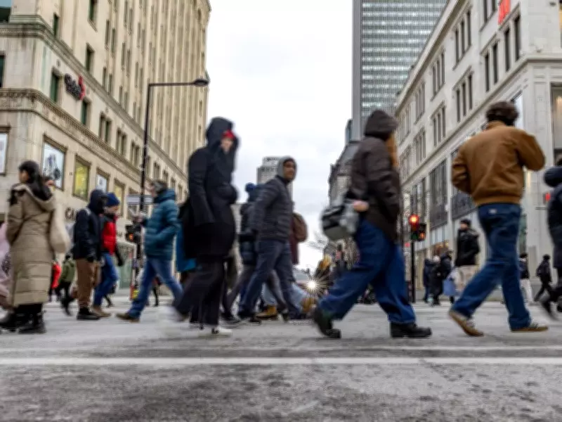 Survey Reveals Quebecers Frequently Switch Languages in Daily Life